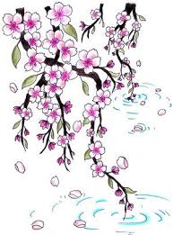 Check spelling or type a new query. Cherry Blossom Petals Falling Drawing Novocom Top