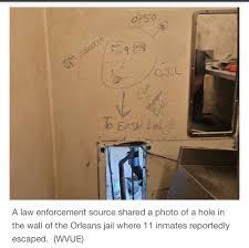 elle hardy (@ellehardy.bsky.social) — Bluesky