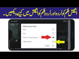 Check out the entire list of bollywood films, latest and upcoming hindi movies of 2020 along with movie updates, news, reviews, box office, cast and crew, celebs list, birthdays and. Download How To Convert English Language Movies Into Urdu Language 3gp Mp4 Codedfilm