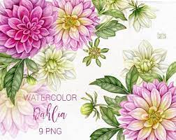 Watercolor Dahlia Flowers Buds And Leaves Clip Art Individual Png Elements Clipart In 2020 Botanical Flowers Print Dahlia Flower Leaf Clipart