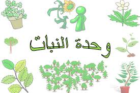 اناشيد وحدة النبات رياض اطفال