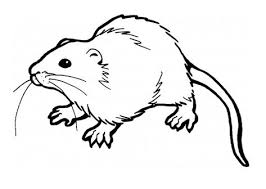 Free Printable Rat Coloring Pages For Kids Animal Coloring Pages Super Coloring Pages Coloring Pages