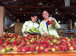 10001 north armenia avenue tampa, fl 33612 Fresh Rambutan For Sale By The Manila Collectible Co Facebook