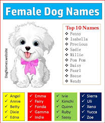 A female puppy deserves a great name, and it's best to find a name within the first week or so. Best Girl Dog Names 2019 Online Shopping