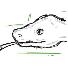 How To Draw Anaconda Learn To Draw From Other Letsdrawit Players Python linux ubuntu anaconda navigator. how to draw anaconda learn to draw