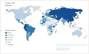 Prevention Strategies for Gastric Cancer: A Global Perspective