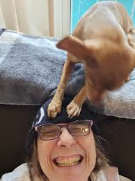 Looking for a reliable and experienced pet sitter? Look no further! My name  is Briana Vento, and I am here to provide top-notch in-home overnight  animal sitting and pop-in visits for your