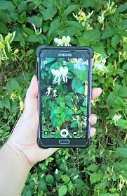 Maybe you would like to learn more about one of these? 7 Apps To Help You Identify Plants Reuse Grow Enjoy