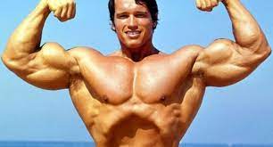 Find out how tall arnold schwarzenegger is! Arnold Schwarzenegger Net Worth 2020 Salary Age Height Weight Bio Family Career Wiki