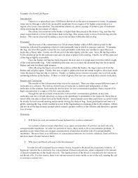 Develop Your Essay Writing University Of Reading Scientific Report Throughout Introduction Template F Essay Writing University Essay Writing Scientific Reports