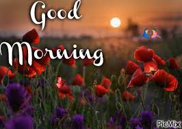 Check spelling or type a new query. 25 Best Looking For Good Morning Beautiful Sunrise Gif Major League Wins
