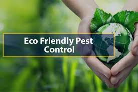 Ehrlich pest control flying ant specialist can help seek out their nests and figure out how they are getting inside your home. Eco Friendly Ways To Get Rid Of Ants Emagazine Com