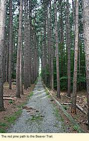 Cummings nature center ticket price, hours, address and reviews. Finger Lakes New York Nature Centers Cumming Nature Center