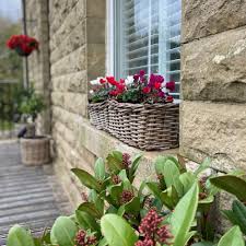 It's easy to find 1,000 ideas for using pots and planters around your home to improve indoor and outdoor spaces. Rattan Window Box Wicker Planter Small The Basket Company