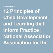 12 Principles Of Child Development And Learning That Inform Practice National Association For The Education Of Young Child Development Development Principles