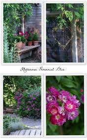 Perennial Blue Cottage Garden Romantischer Garten Kletterrosen Weidenbogen Sitzplatz Geschwungene Kieswege Sch Ein Schweizer Garten Kletterrose Geranien