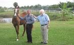 Image result for Tim Thompson Jones racehorse trainer