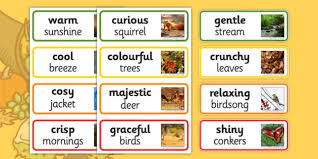Use the above list of good adjectives to describe people because these are good words to describe someone. Autumn Adjectives Word Cards Ks1 Kindergarten Twinkl Resources