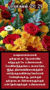 Pin By Tamil Mani On Tamil Bible Verse Wallpapers Beautiful Rose Flowers Happy Flowers Beautiful Flowers