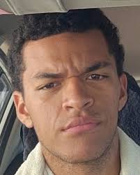 My brother: “my beard is finally growing bro” The beard: