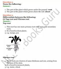 Selina Concise Biology Class 6 Icse Solutions Chapter 1 The Leaf Ncert Books Icsesolutions Concisebiologyclass6 Co Biology Class Teaching Biology Biology