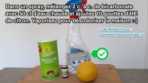 Les 3 Meilleures Astuces Pour Desodoriser Toute La Maison Facilement Desodorisant Maison Desodorisant Astuce Menage