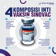 Sinovac engineers working with monkey kidney cells. 4 Komposisi Inti Vaksin Sinovac