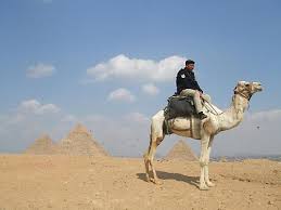 Overview of camel riding tour in dubai. How To Ride A Camel Technical Advice From An Expert The Inside Track