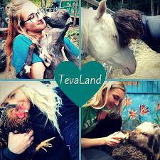 Dirt Dance of Gratitude — TevaLand