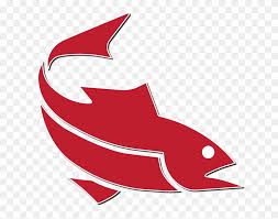 Manitoulin Expositor Salmon Classic The Manitoulin Expositor Salmon Png Stunning Free Transparent Png Clipart Images Free Download Sushi dish, salmon meat raw format, fresh salmon meat, food, seafood png. flyclipart