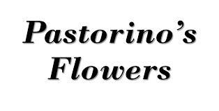 Visit our i love half moon bay store. Half Moon Bay Florist Flower Delivery By Pastorino S Flowers