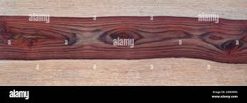 Image result for Dalbergia fischeri