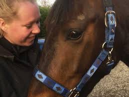 Fundraiser by Annabelle Chappell : Please help me keep my place at vet  school