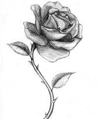 Gambar arsiran vas bunga terbaik. 18 Contoh Gambar Arsiran Pemandangan Alam Lukisan Buah Buahan Dalam Bakul Menggunakan Pensil Cikim Dibujos De Rosas Flores Para Dibujar Dibujo De Rosa Facil