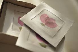 Recycled Paper Greeting Cards With Dried Flower Petals A Product Of Www Saltmatters Com For Every Occasion Dried Flowers Flower Cards Paper Greeting Cards