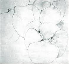 Ke nge pe r 8 marsin kur ke ndoj pe r ty moj ne. Portfolio Tom Patti