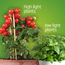 Ge lighting, a savant company. Amazon Com Ge Lighting 93101230 Led Grow Light Br30 Balanced Spectrum Patio Lawn Garden