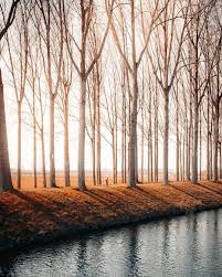 Pin On Simple Landscape