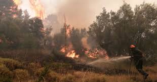 Σύμφωνα με τη στασυ αε, η φωτιά κατασβέστηκε μετά από επέμβαση της πυροσβεστικής και είναι σε εξέλιξη προσπάθειες αποκατάστασης των ζημιών που προκλήθηκαν σε καλώδια ηλεκτροδότησης και. Fwtia E Thessalia Gr