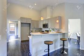 The grey cabinets certainly look at home here thanks to the similarly colored backsplash tiles and kitchen wall. Light Grey Kitchen Room Interior With Bar Style Kitchen Island Stock Photo Picture And Royalty Free Image Image 93860073