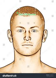 Gb13 Stock Photos and Pictures