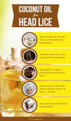 Head Lice Treatment Home Remedy