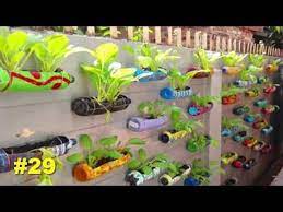 A good edging defines the bed and slows grass as it tries to creep into your plantings. 50 Plastic Bottle Garden Ideas Will Blow Your Mind Diy Garden Ideas Youtube Bottle Garden Plastic Garden Edging Plastic Bottle Garden