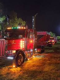 Image result for Hawaiian Orchid 1999 Truck