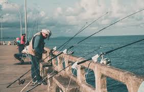 Cara mancing kakap putih di siang hari mungkin masih asing untuk para pemancing. Bulan Musim Ikan Kakap Putih Yang Wajib Anda Ketahui Hobi Mancing
