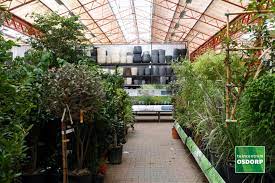 pin van tuincentrum osdorp amsterdam op tuinplanten het hart van de tuin tuinplanten tuin planten