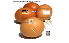 Al mismo tiempo 🍕soy una ninja en la organización de las comidas ⬇️cursos, libros y +⬇ magic.ly/paulinacocina. Termodinamica En La Cocina By Cristina Rodriguez Alvarez