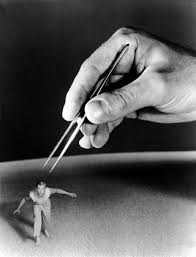 Then, returning to new york, he took acting classes with lee strasberg. The Incredible Shrinking Man 1957 Imdb