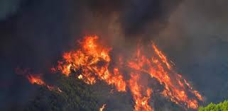 Tell a friend about us, add a link to this page, or visit the webmaster's page for free fun content. Una Historica Ola De Calor En El Sureste De Europa Provoca Decenas De Incendios Y 10