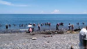 Batu emas putih kemungkinan batu mengandung emas / batu meteor yang hancur beribu tahun yang lalu #batuemasputih. Heboh Butiran Diduga Emas Di Pantai Maluku Tengah Ini Kata Lipi